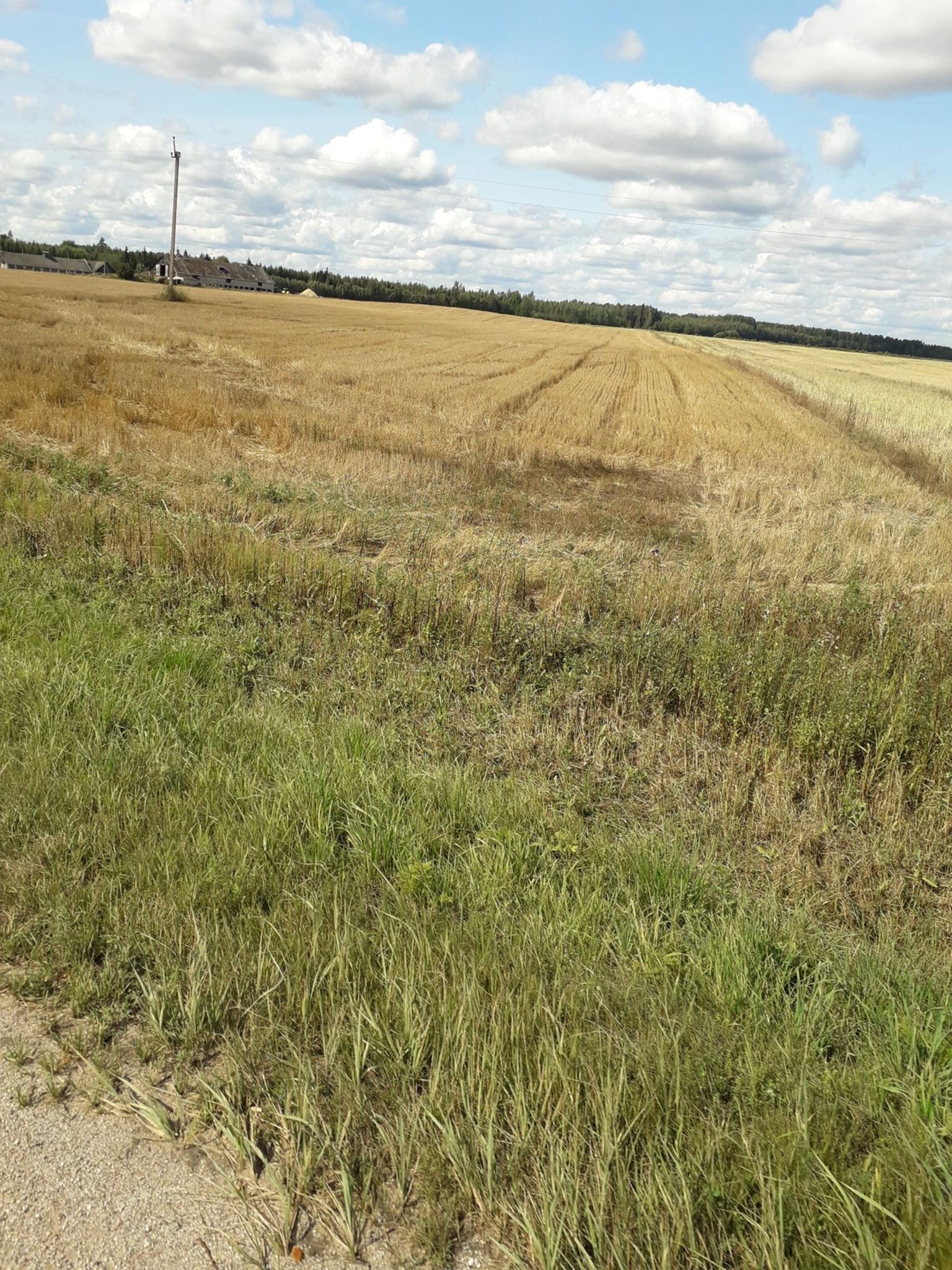 lol-p6)?M鲟侍鯺暸H觽Id謪?湐]懓袸"赒RT牛f亀ボ嶼的简单介绍